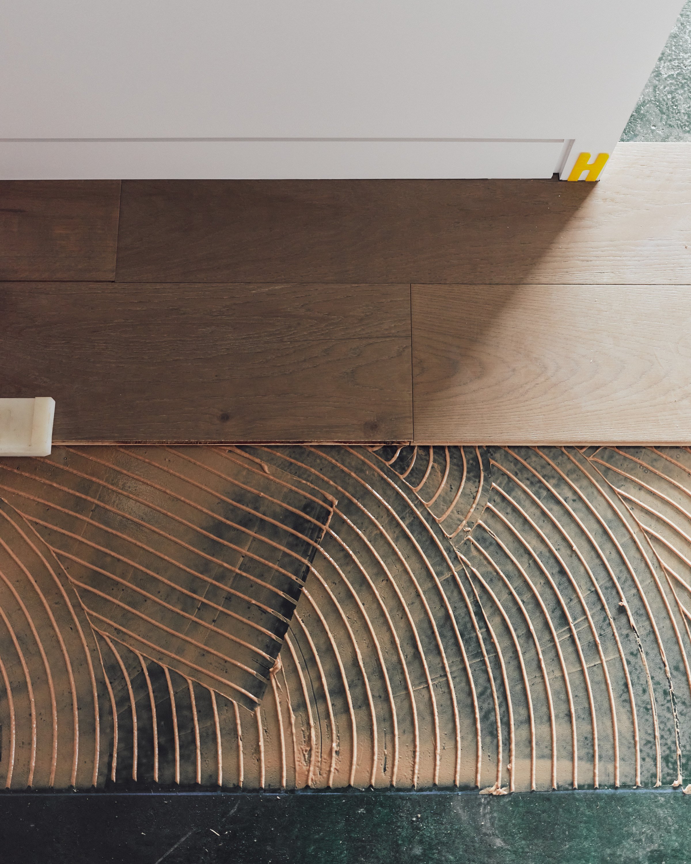 2507-Forte-Whitford_11-2