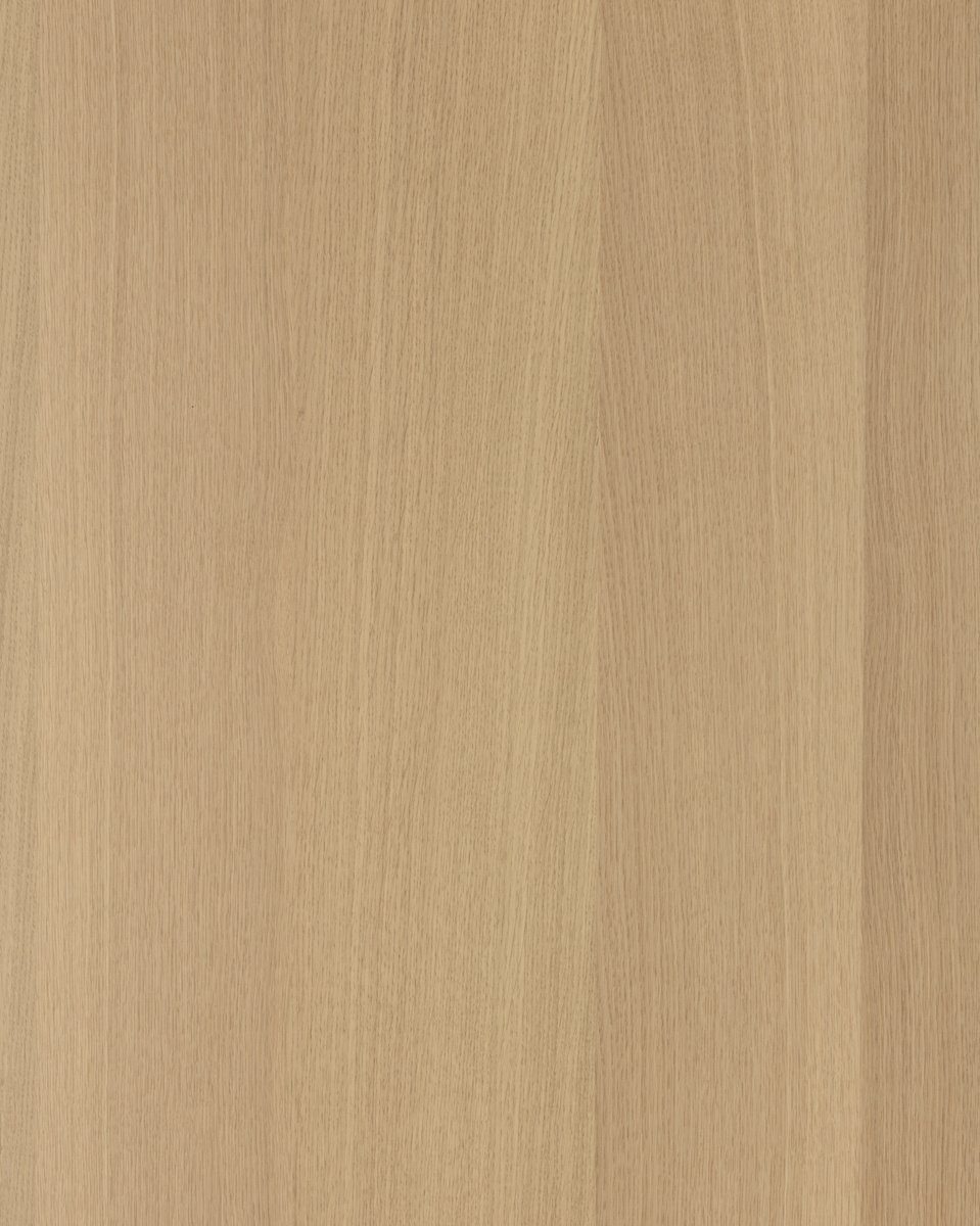 Forté Alor Solis Panel-1