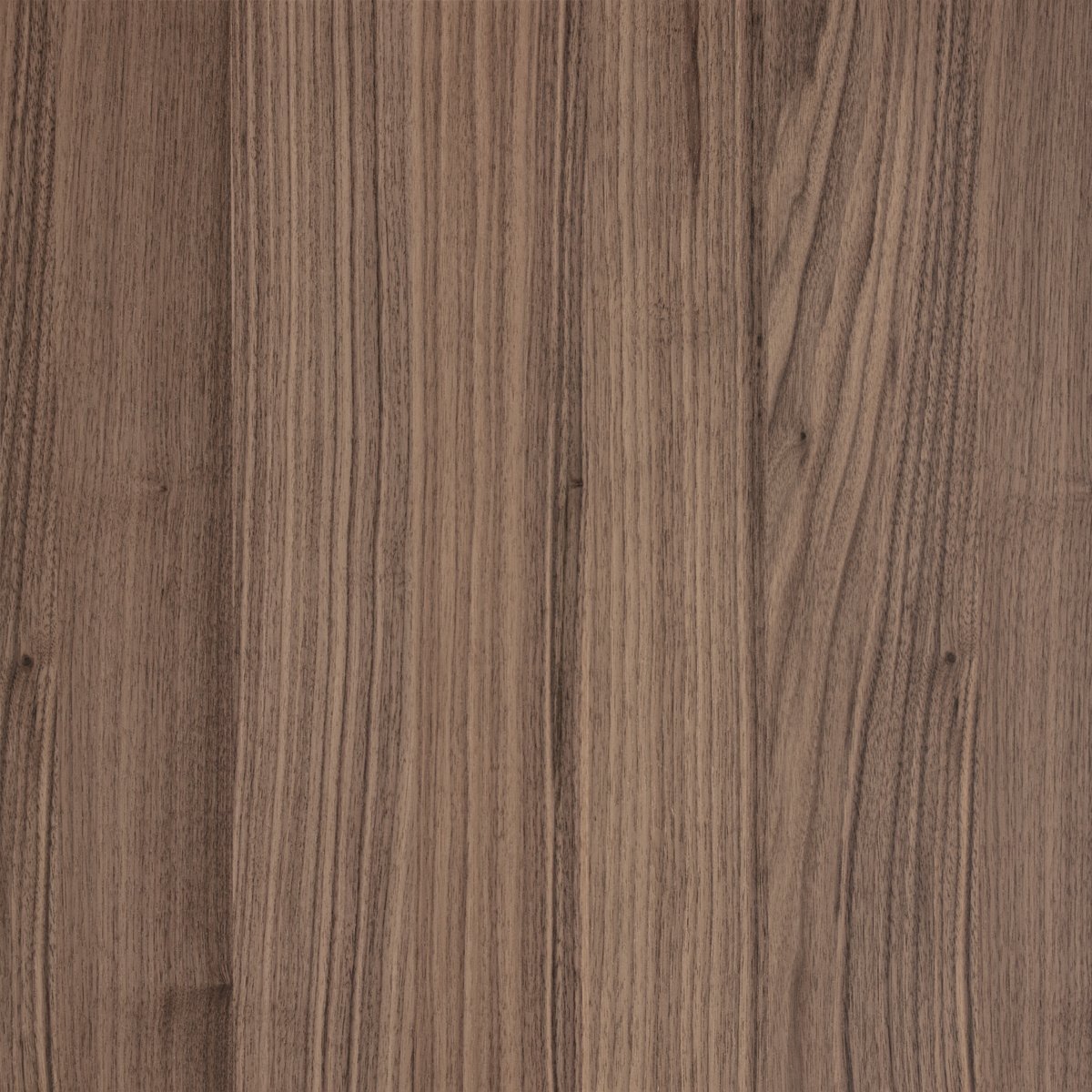 Forté Alor Ember Panel