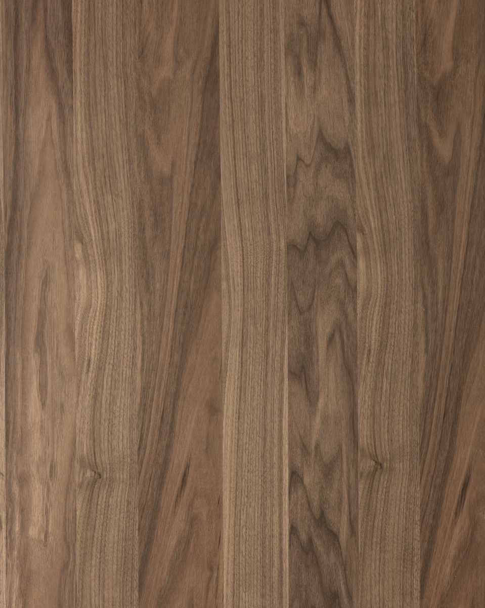 Forté Alor Ember Panel-3