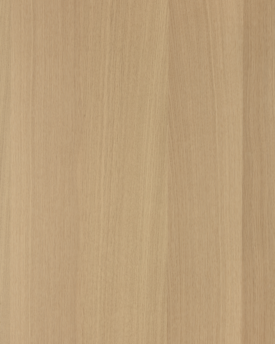 Forté Alor Solis Panel-3