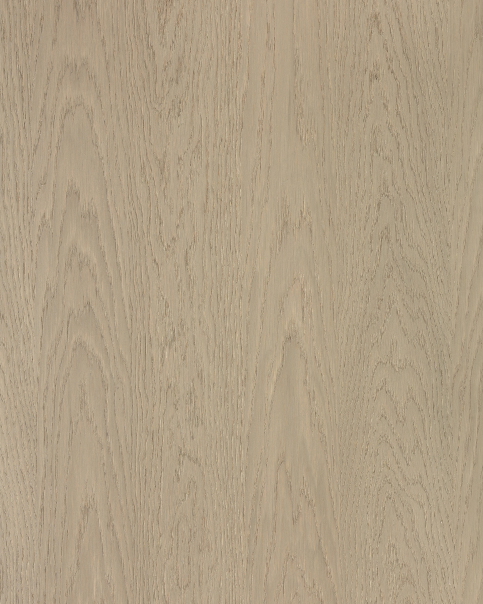 Forté Alor Tusk Panel-2